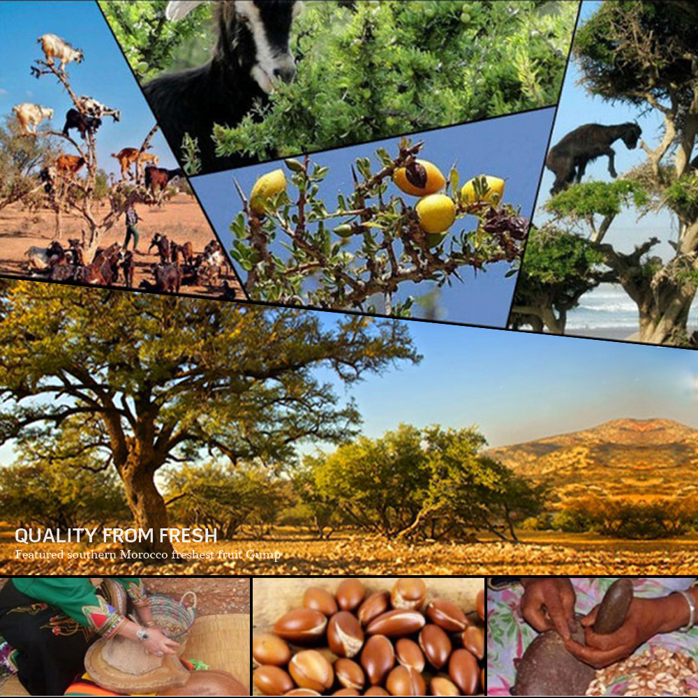 Dexe Natural Morocco Argan Oil for Hair And Skin 50ml - Image 4