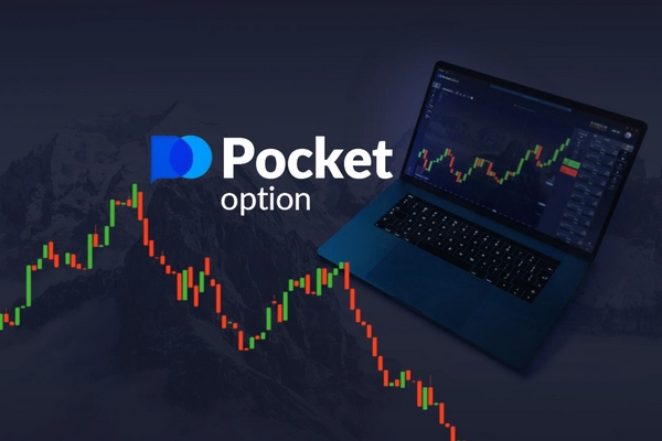 The Pocket Option Platform A Comprehensive Guide