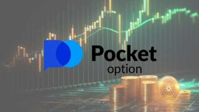 The Pocket Option Platform A Comprehensive Guide